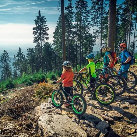 Mountain Panorama Klinovec Апартаменты Лоучна-под-Клиновцем