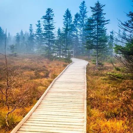 Mountain Panorama Klinovec Апартаменты