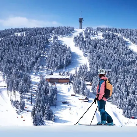 Appartamento Mountain Panorama Klinovec *